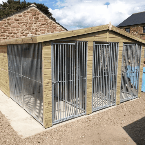12 X 12 ft Triple Dog Kennel