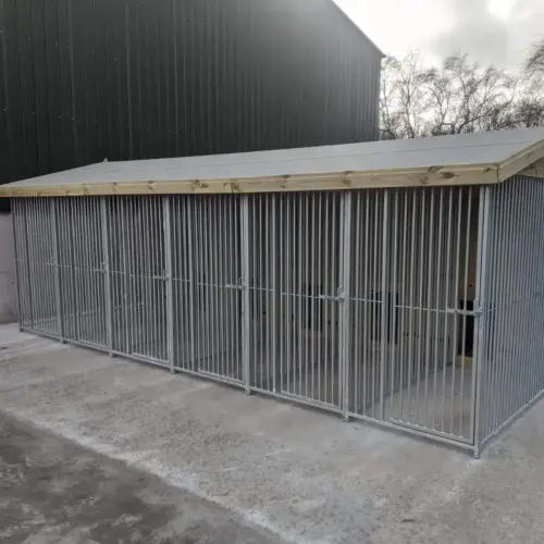 20 X 12 ft Six Bay Dog Kennel
