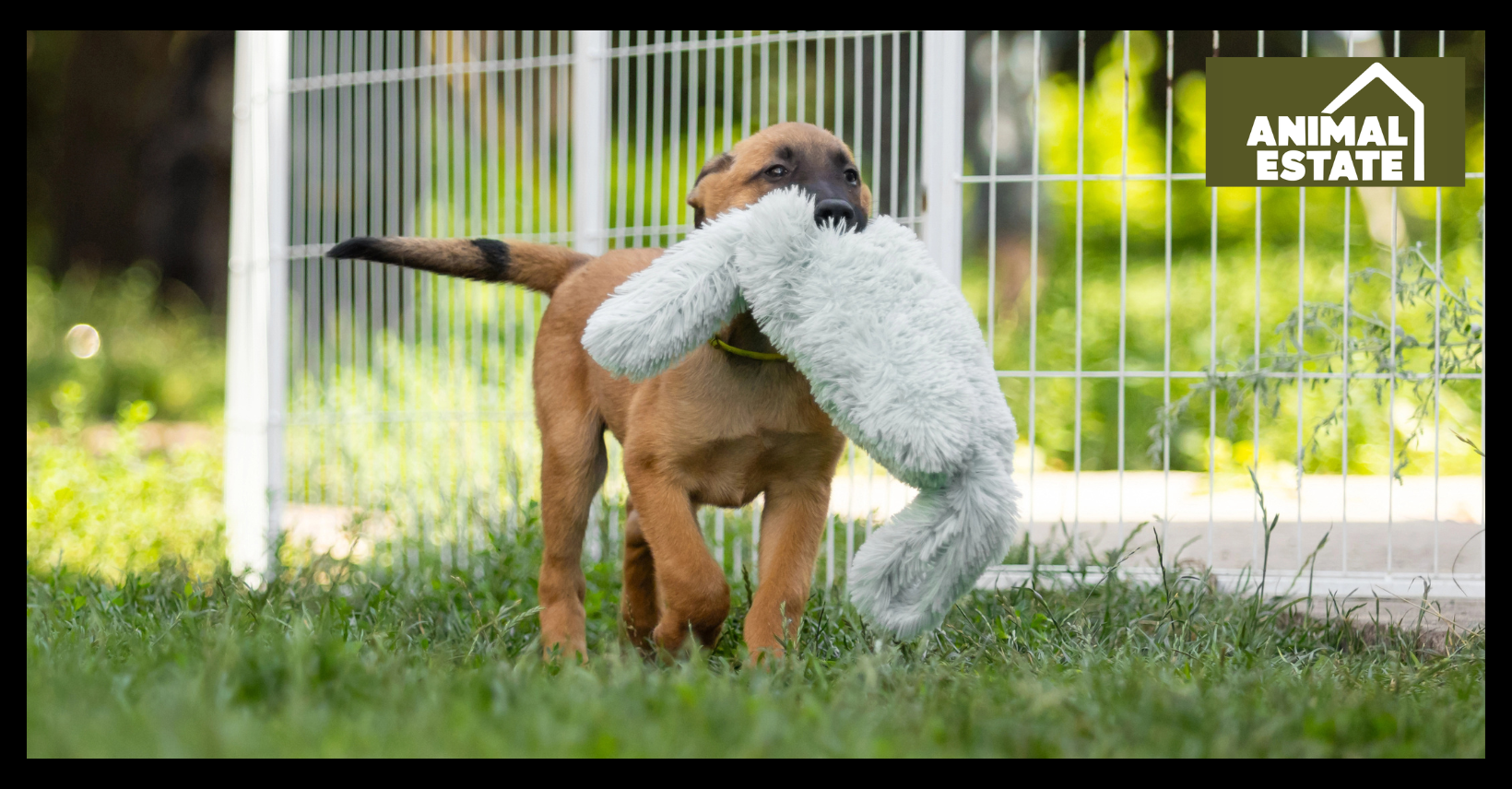 Best Bedding For Outdoor Dog Kennels