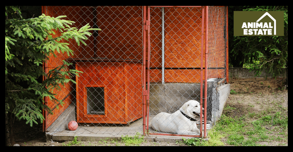 How Much Is a Dog Kennel in the UK